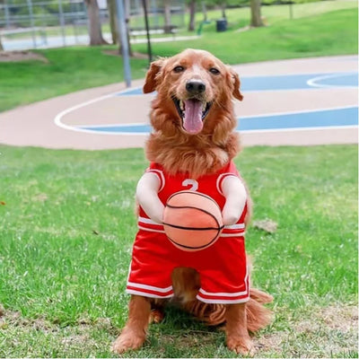 Disfraz de Jugador de Baloncesto para Perros - Outfit Deportivo Divertido - Image 5