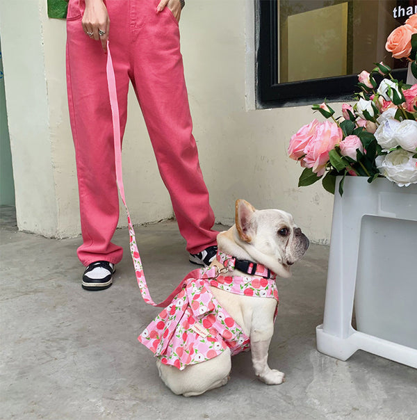 Falda de Algodón para Perro Azul y Blanco con Correa de Mano