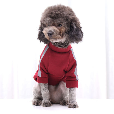 Suéter Reflectante para Paseos Nocturnos - Ropa para Perros y Gatos - Image 18
