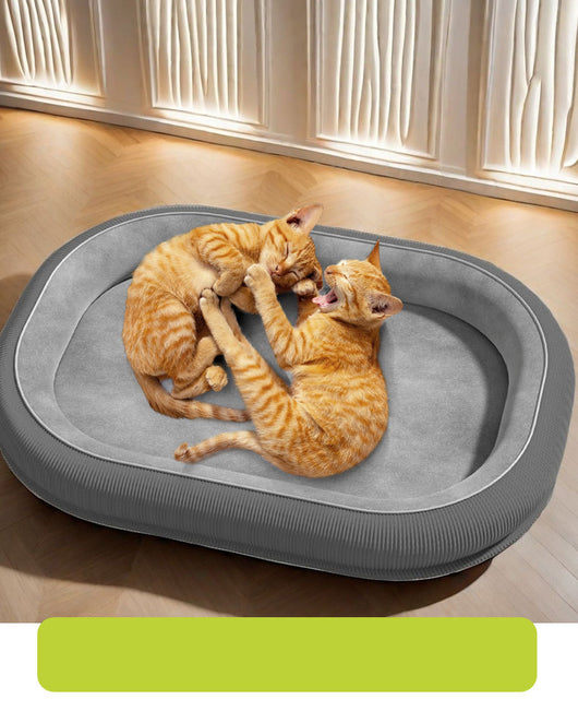 Casa Para Perros Grande y Mediano - Resistente Todo Clima, Lavable y Desmontable - Image 14