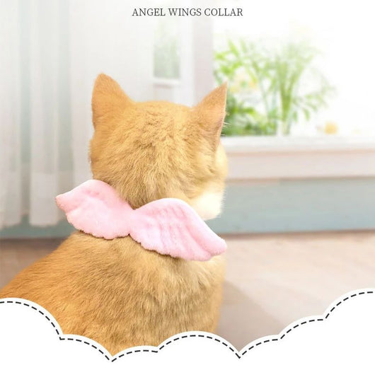 Collar Decorativo para Mascotas con Alas de Ángel y Accesorios de Mariposa - Image 11