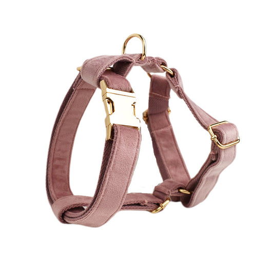 Collar de Terciopelo para Perros - Comodidad y Estilo - Image 6