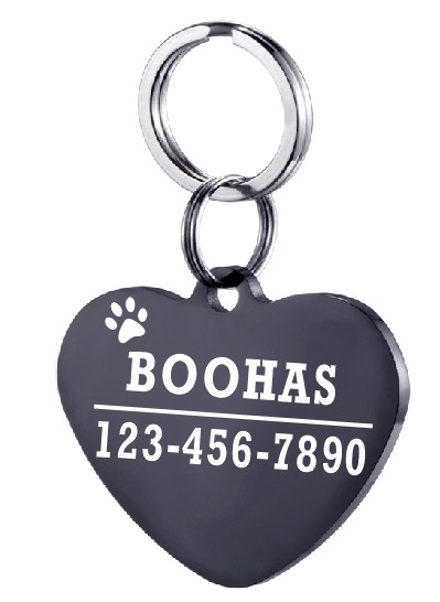 Placa de Identificación para Perro en Acero Inoxidable Personalizada - Image 35