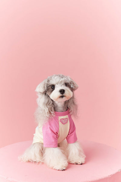 Ropa de Verano para Perros con Contraste de Colores - Image 24