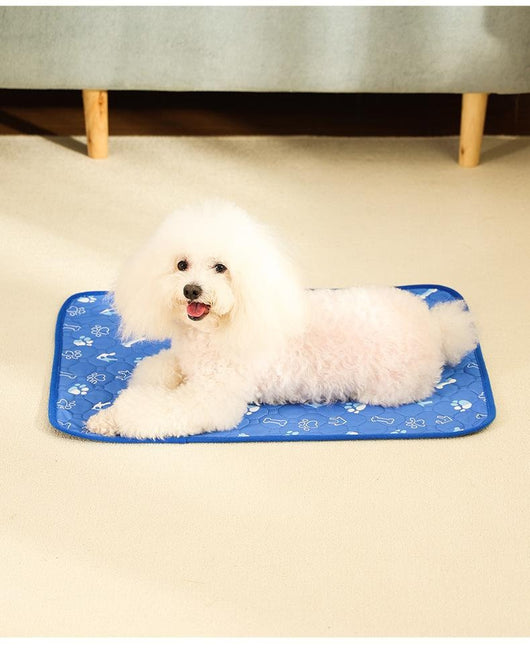 Pañales Absorbentes Lavables para Perros - Antideslizantes y Reutilizables - Image 28