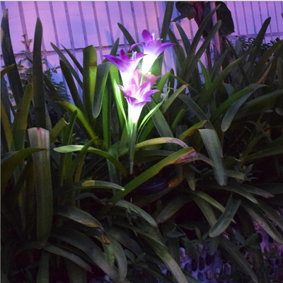 Luz Solar LED Multicolor para Jardín - Decoración Flotante Impermeable - Image 3