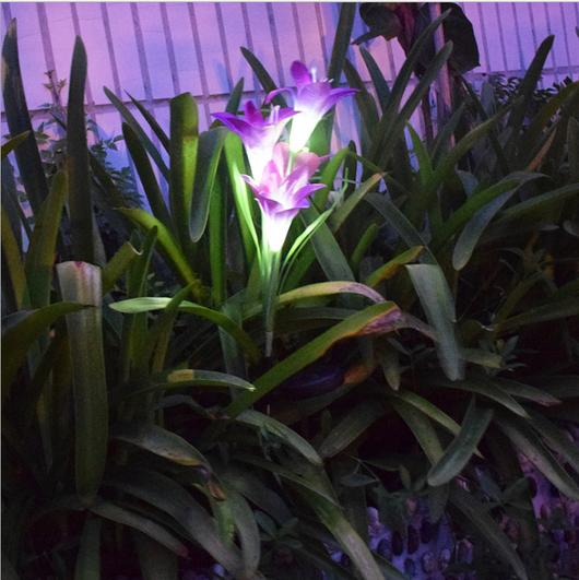 Luz Solar LED Multicolor para Jardín - Decoración Flotante Impermeable - Image 3