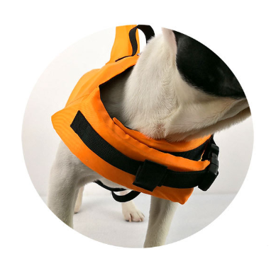 Traje de Baño para Perros Pequeños y Grandes - Marca Tide - Image 6
