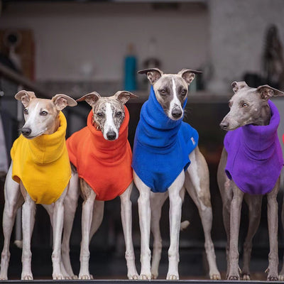 Abrigo Polar de Cuello Alto para Perros Pequeños - Greyhound Italiano y Whippet