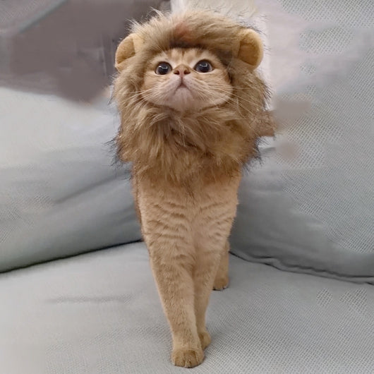 Diadema Divertida para Mascotas - Accesorios de Moda Cómica - Image 3