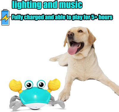 Juguete Canino Cangrejo Interactivo con Sensor de Obstáculos, Luces y Música - Image 5