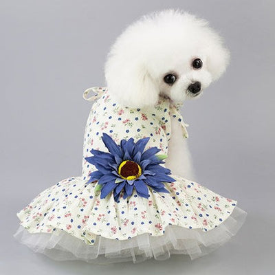 Vestido Princesa Ligero para Perros Pequeños - Colección Primavera Verano - Image 9