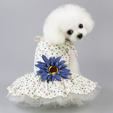 Vestido Princesa Ligero para Perros Pequeños - Colección Primavera Verano - Image 9