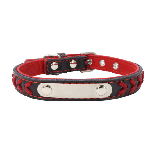 Collar para Perro de Acero Inoxidable con Grabado Láser - Image 16