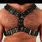 Cinturón Ancho y Pectoral de Soporte