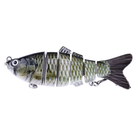 Peces Carnada Premium - Image 18