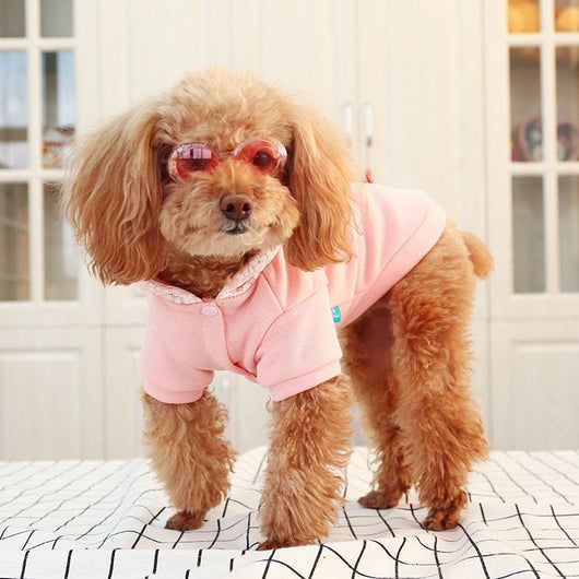 Sudadera Deportiva Teddy Plus con Capucha y Forro de Terciopelo - Image 5