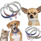 Collar Elástico de Cristal para Mascotas
