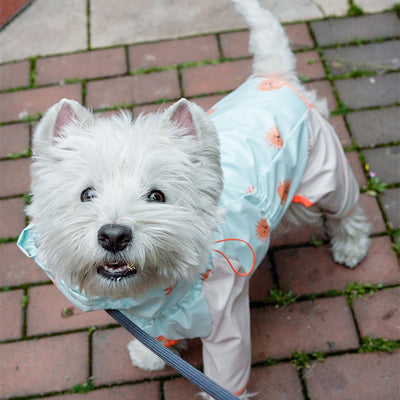Impermeable para Mascotas de 4 Patas con Reflectantes y Protección Total - Image 9