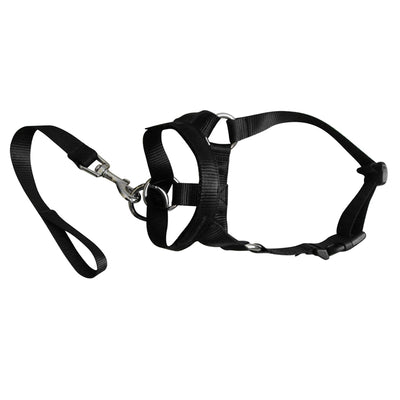 Correa Anti-Jalones para Perros - Control Profesional de Tracción - Image 10