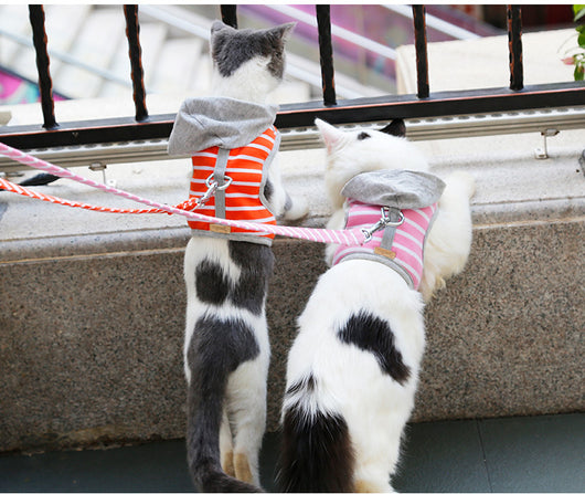 Chaleco arnés para gato con capucha para paseos - Image 4