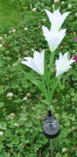Luz Solar LED Flor de Lirio con Cambio de Color para Jardín - Image 8