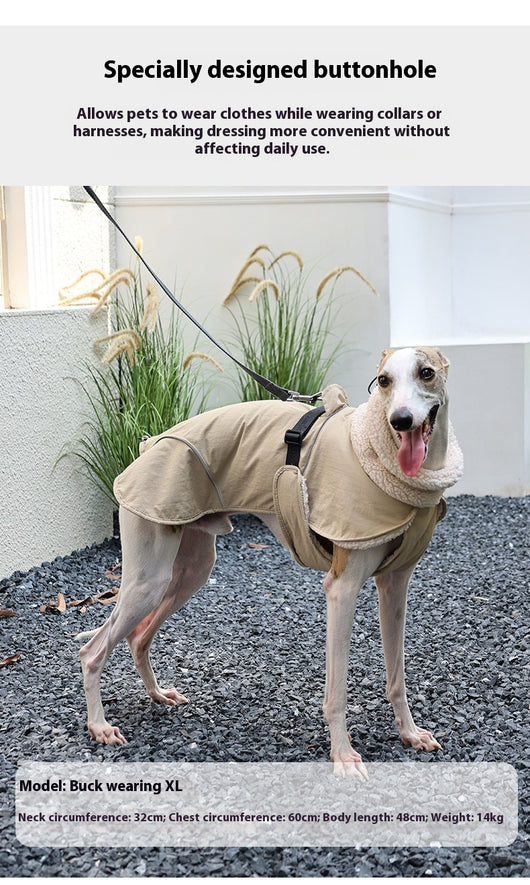 Abrigo Acolchado para Perros - Protección Térmica para Otoño e Invierno - Image 12