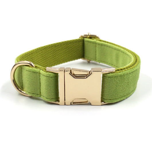 Collar para Perro Terciopelo Matcha Verde Simple - Image 9