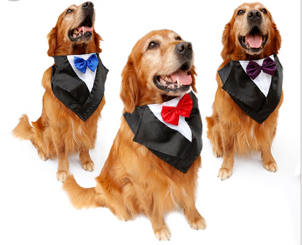 Pañuelo Formal para Perros Grandes - Diseño Esmoquin Elegante