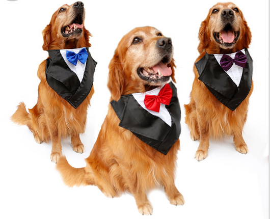 Pañuelo Formal para Perros Grandes - Diseño Esmoquin Elegante