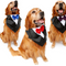Pañuelo Formal para Perros Grandes - Diseño Esmoquin Elegante