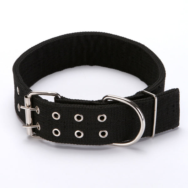 Collar para Perro - Image 9