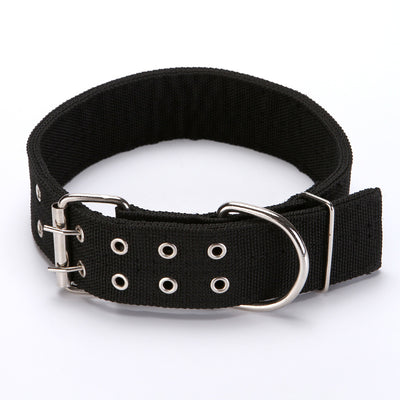 Collar para Perro - Image 9