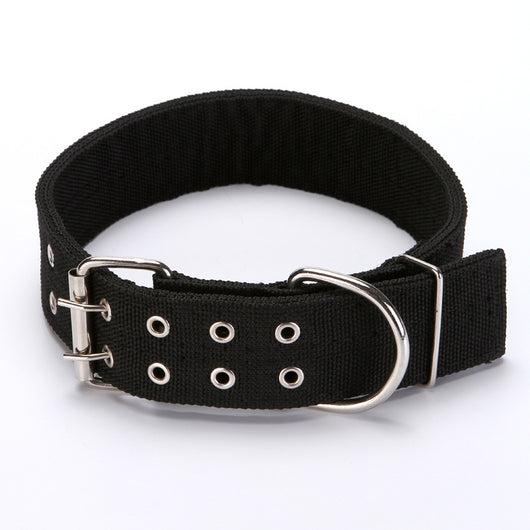 Collar para Perro - Image 9