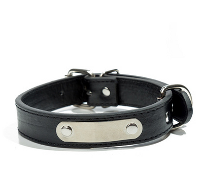 Collar Personalizado para Mascota con Placa de Identificación Grabada - Image 4