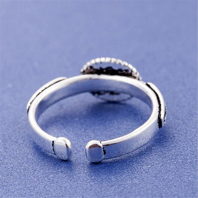 Anillo Literario - Image 6