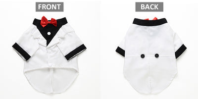 Traje Deportivo para Perros - Image 26