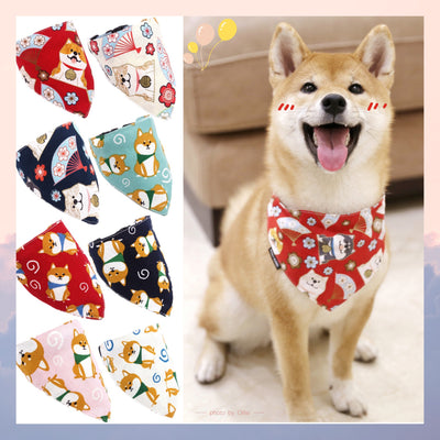 Pañuelo Triangular Absorbente para Perros