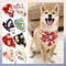 Pañuelo Triangular Absorbente para Perros