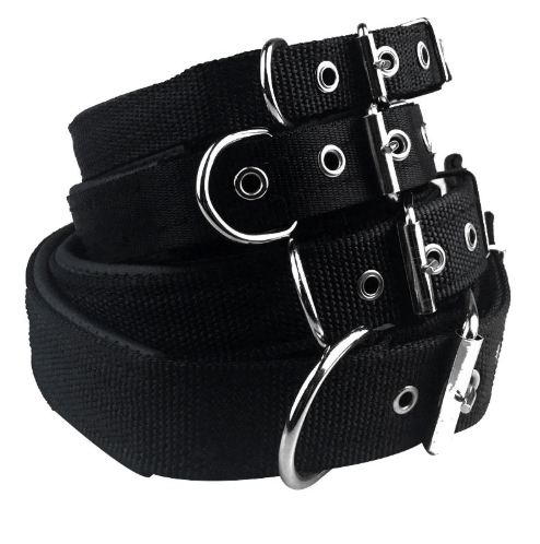Collar para Perro de Espuma y Cuero Acolchado