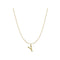 S925 sterling Plateado vintage 26 letter necklace Y