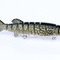 Pike B