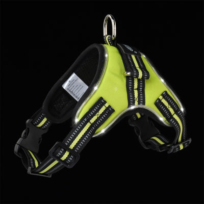 Collar Luminoso para Perros - Image 11