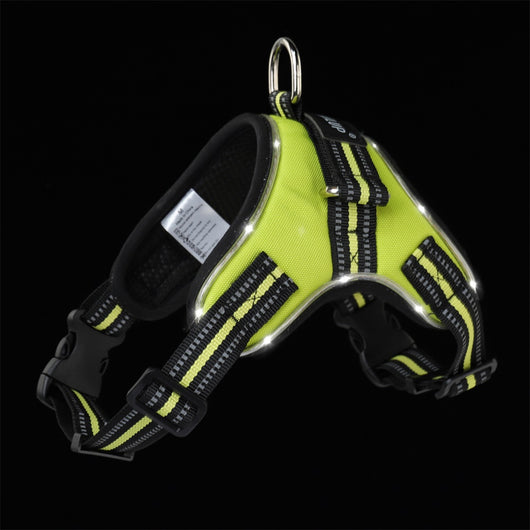 Collar Luminoso para Perros - Image 11