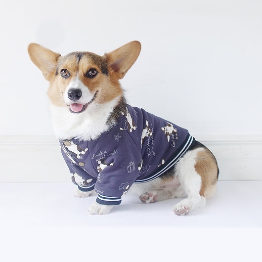 Ropa de Invierno para Perros - Image 8