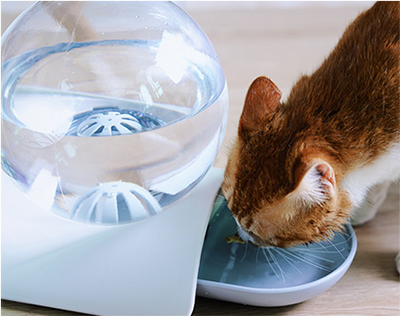 Dispensador de Agua para Gatos sin Mojadura Bubble Pet - Image 2