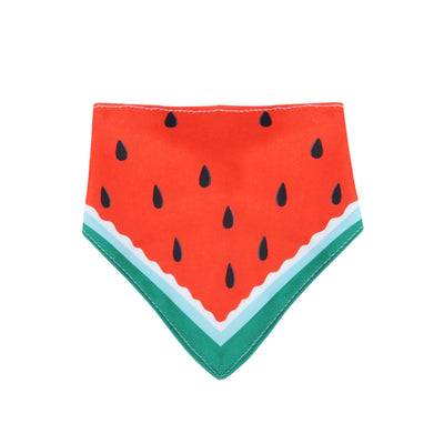 Pañoleta Triangular para Perros Pequeños - Image 16
