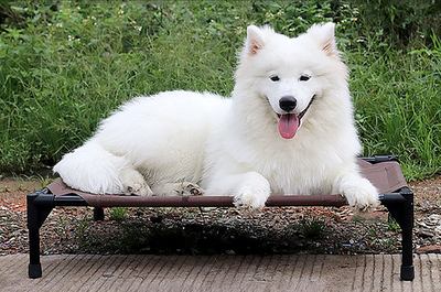 Cama Ortopédica para Perros Impermeable y Desmontable - Image 4