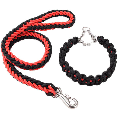 Collares y Correas para Perros de Nylon Reforzado - Entrenamiento y Paseos - Image 18