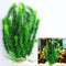 Verde 45 Cm
